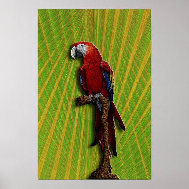 Red Parrot poster (Frente)