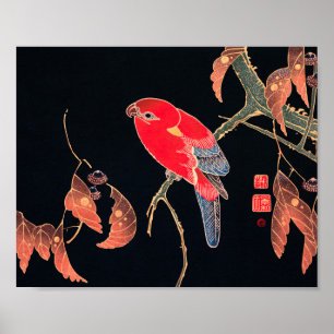 Red Parrot Vintage Bird Japonês Impressão