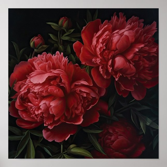 Red Peonies Flower Art Impressão Poster (Frente)