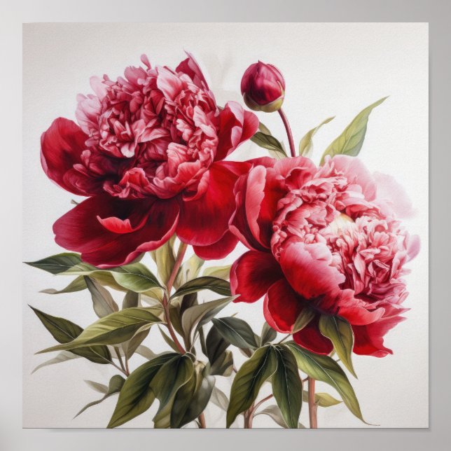 Red Peonies Flower Art Impressão Poster (Frente)