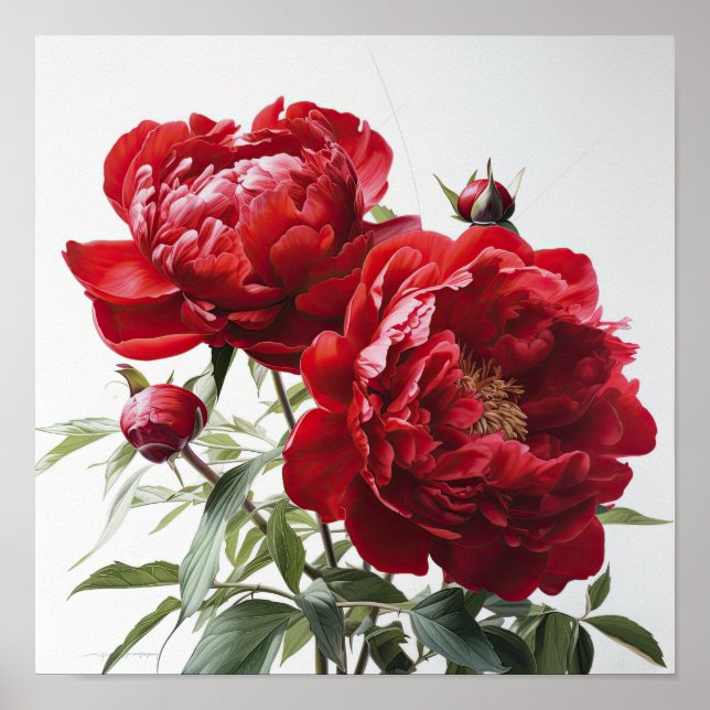 Red Peonies Flower Art Impressão Poster (Frente)