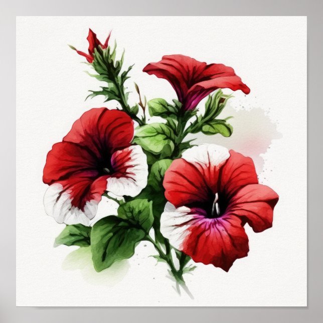 Red Petunias Flower Art Impressão Poster (Frente)
