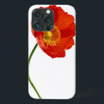 Red Poppy Simplicity<br><div class="desc">Solteiro Red Poppy Flower,  presente de olhos para amantes de papoila. Outros produtos pesquisam sob o mesmo título "Simplicidade de Papoula". Obrigado.</div>