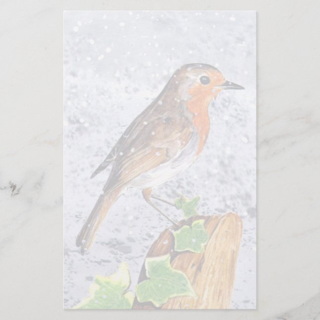 Red robin na arte da neve (Frente)