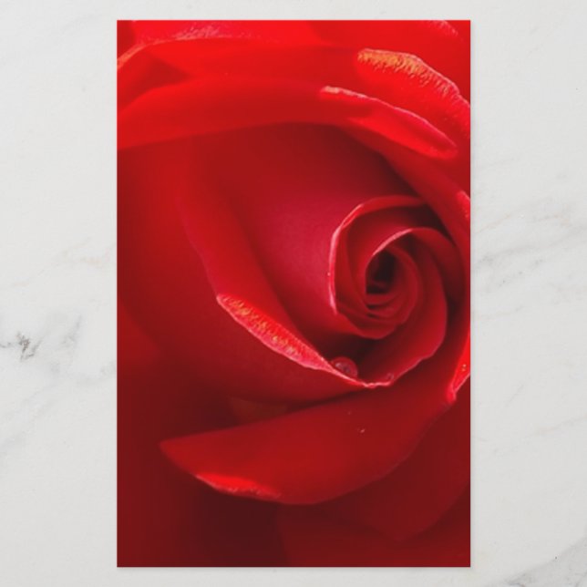 Red-Rosa-3.jpg (Frente)