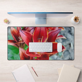 Red Stargazer Lily Flower, Fotografia canadense