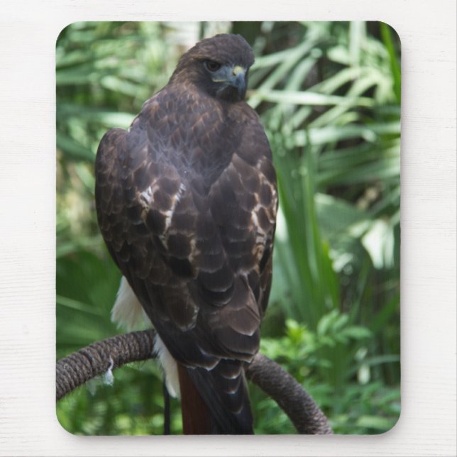 Red Tail Hawk Bird Mousepad (Frente)