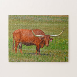 Red Texas Longhorn Cow em Pasture Quebra-cabeça