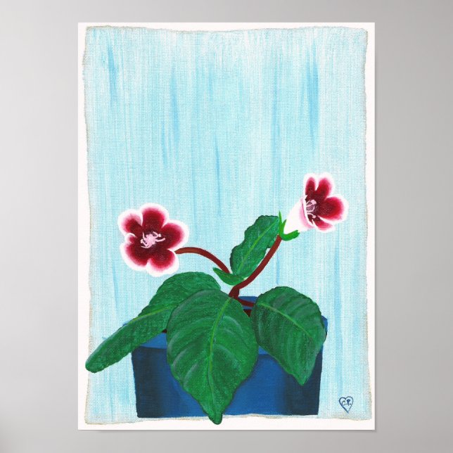 Red White Gloxinia African Violet Flower Poster (Frente)