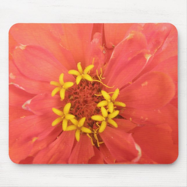 Red Zinnia Macro Mousepad (Frente)