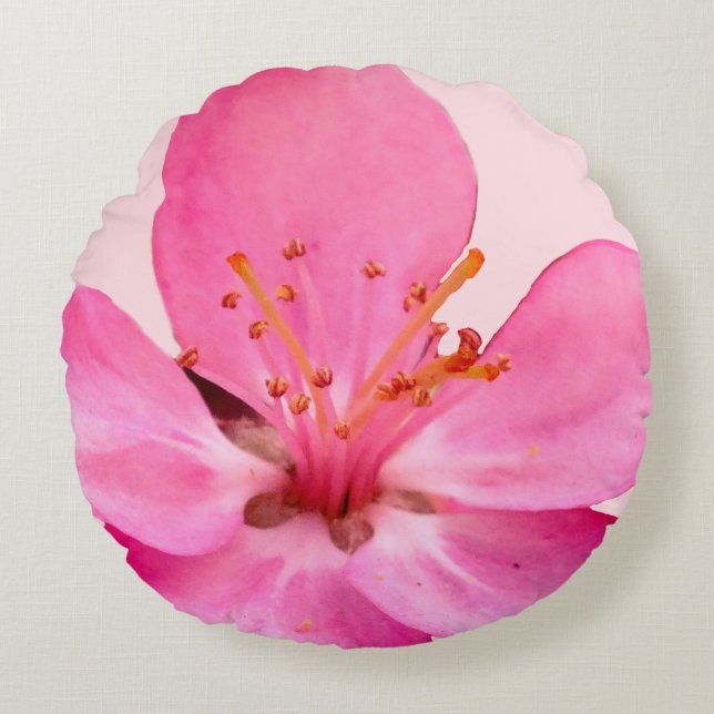 Redonda Almofada de primavera (Frente)