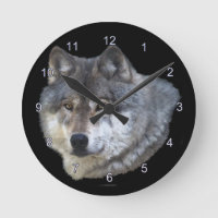 Cinza Wolf Enfrenta Relógio De Arte Apoiante Da Vi