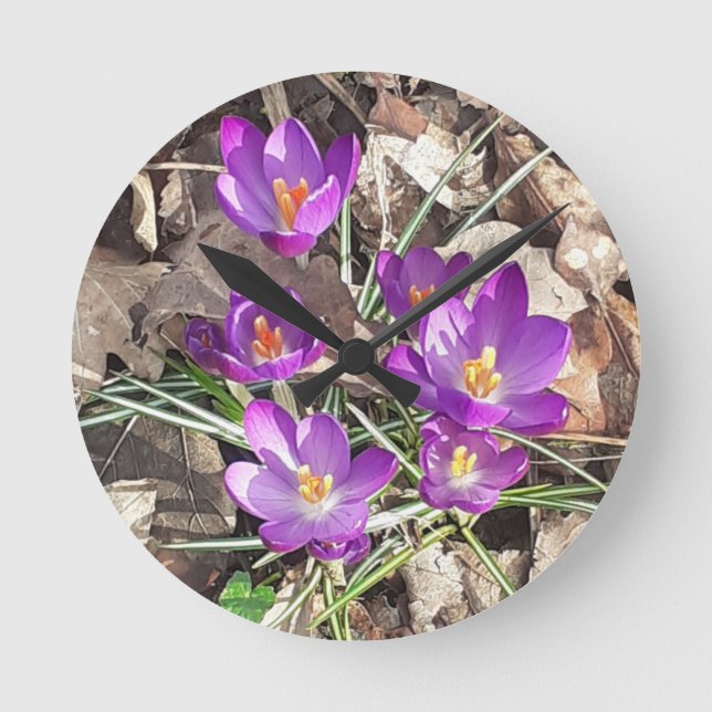 Redondo Relógio Crocus Puro (Frente)