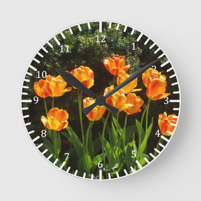 Redondo Relógio das Tulipas Amarelas (Frente)
