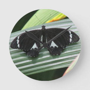 Redondo Relógio de Borboleta Tropical Preta e Branca