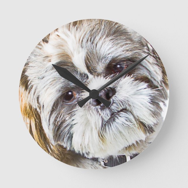 Redondo Relógio De Muro De Cães Shih Tzu (Frente)