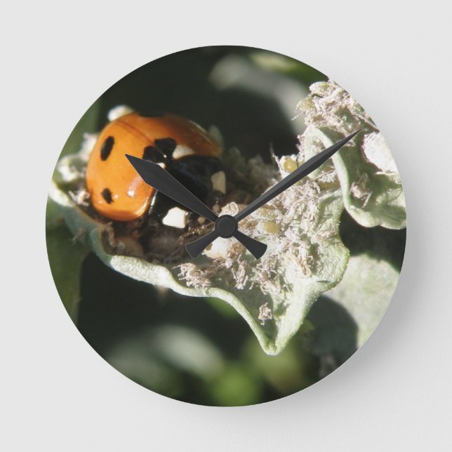 Redondo Relógio de Muro de Ladybug britânico 7 (Frente)