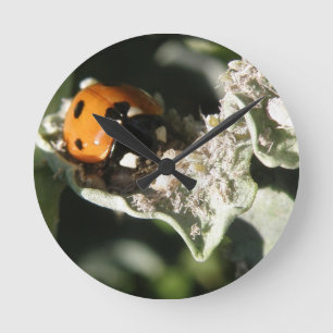Redondo Relógio de Muro de Ladybug britânico 7