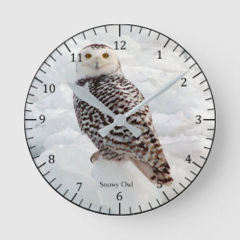 Redondo Relógio Snowy Owl