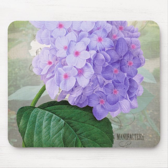 Redouta Roxo Hydrangea Mousepad (Frente)