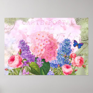 Redoute Poster de Flores Vintage