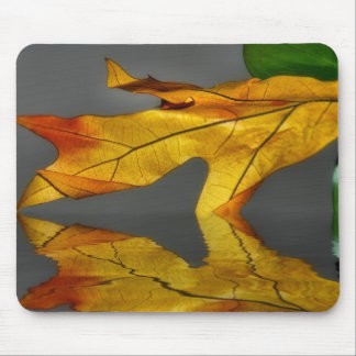 Reflexão Mousepad da folha