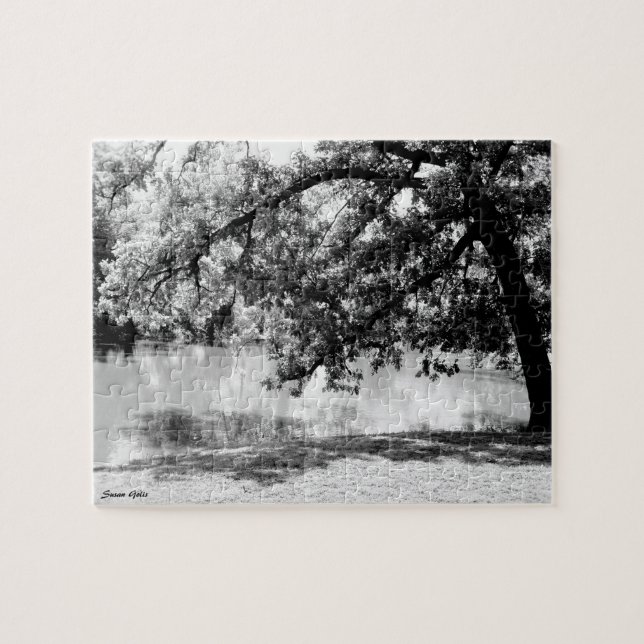 Reflexão no Quebra-cabeça de Belas Artes da Água (Horizontal)