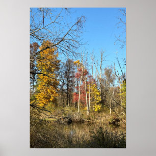 Reflexões do Autum no Creek Poster