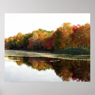 Reflexões - Helmetta NJ - Poster