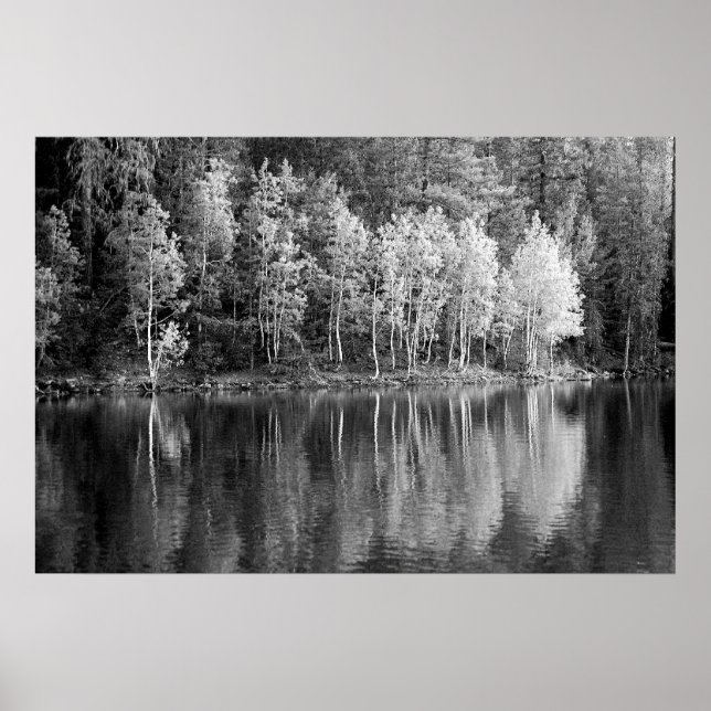 Reflexões Poster (Frente)