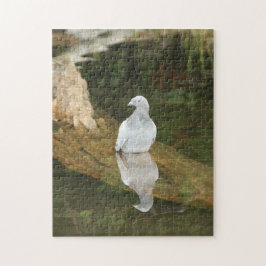 Reflexões Quebra-cabeça