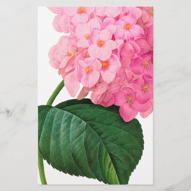 Refúgio de Hydrangea Rosa (Frente)