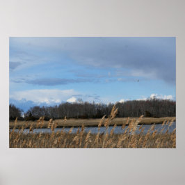 Refúgio Waterscape Poster