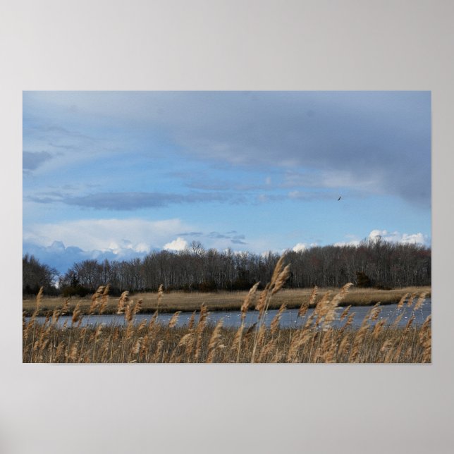 Refúgio Waterscape Poster (Frente)