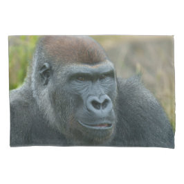 Regal Blackback Gorilla