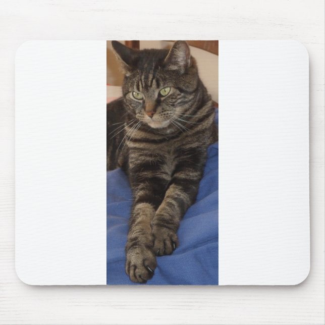 Regal Dave Mousepad (Frente)