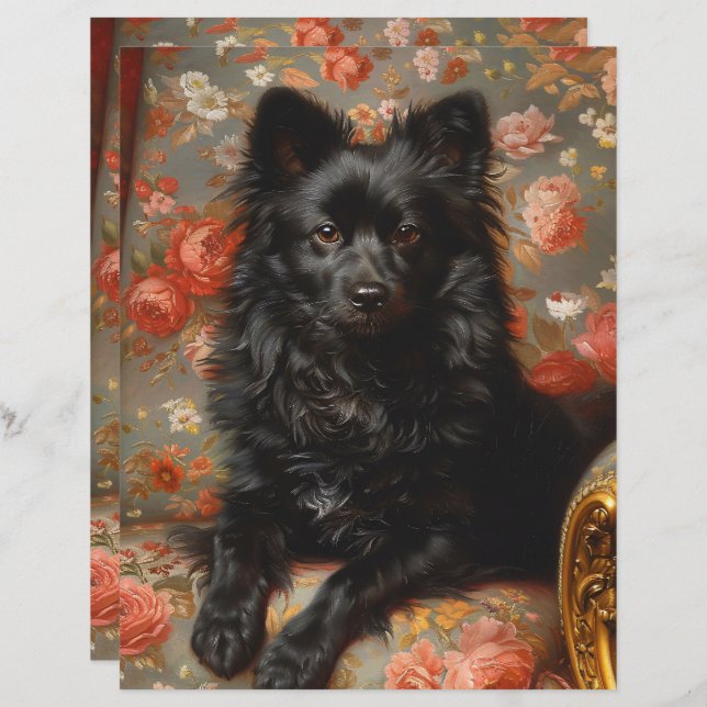 Regal Schipperke Dog Vintage Scrapbook Paper (Frente/Verso)