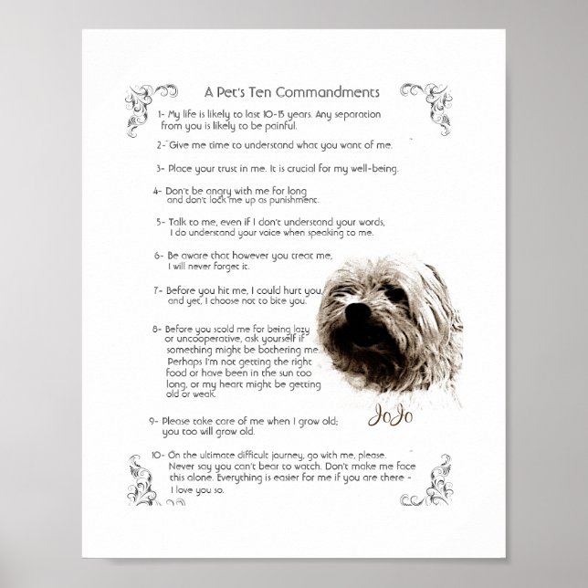 Regras de Pet - JoJo Poster (Frente)