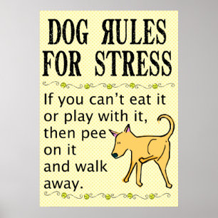 Regras do cão para o poster do esforço