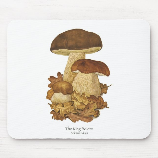 Rei Bolete Cogumelo Mousepad (Frente)