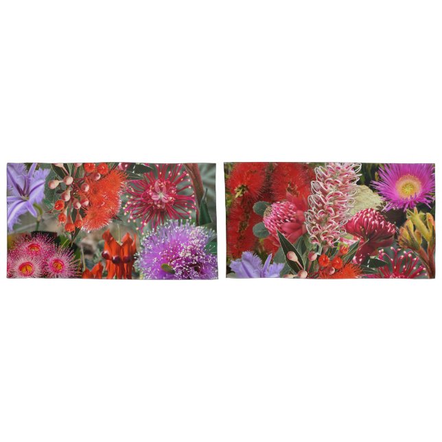 Rei das Flores Selvagens Australianas (Traseira-Conjunto)