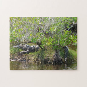 Rei do pântano - Quebra-cabeça do jacaré Jigsaw
