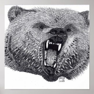 Rei dos Selvagens, poster de urso pardo.