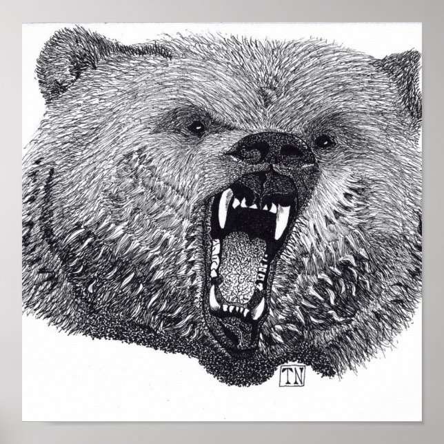 Rei dos Selvagens, poster de urso pardo. (Frente)