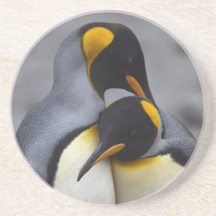 Rei pinguins na porta copos do amor