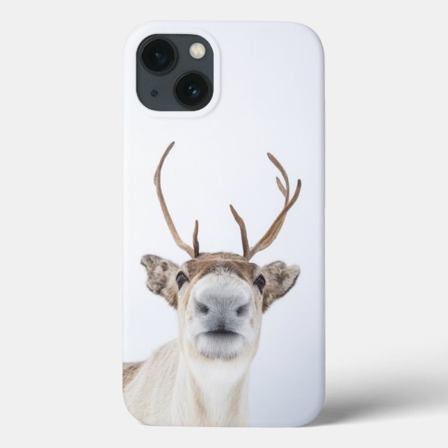 Reindeer Nature Photo (Verso)
