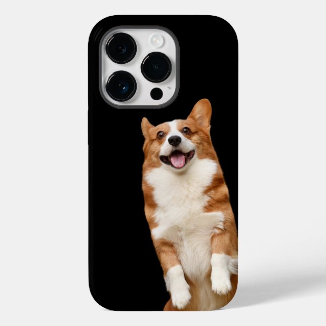 Reino Animal - Corgi Fofo Incrível (Verso)