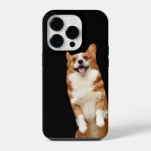 Reino Animal - Corgi Fofo Incrível