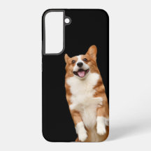 Reino Animal - Maravilhoso Corgi Fofo