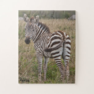 Relance da zebra quebra-cabeça de 30 partes